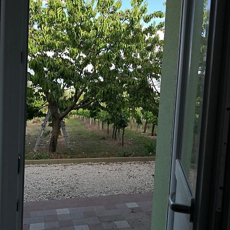 Marima Bed and Breakfast Pollenza Εξωτερικό φωτογραφία