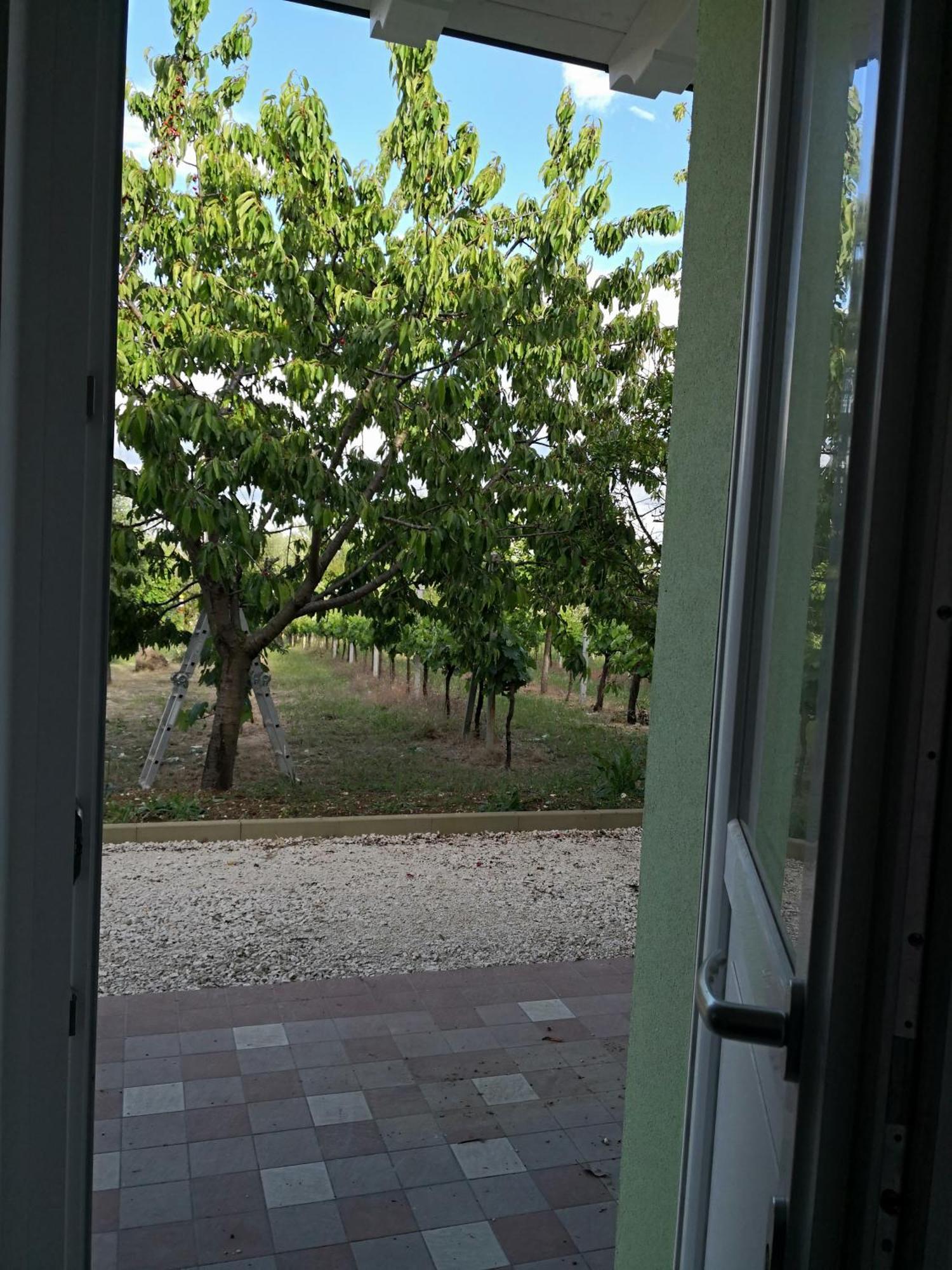 Marima Bed and Breakfast Pollenza Εξωτερικό φωτογραφία